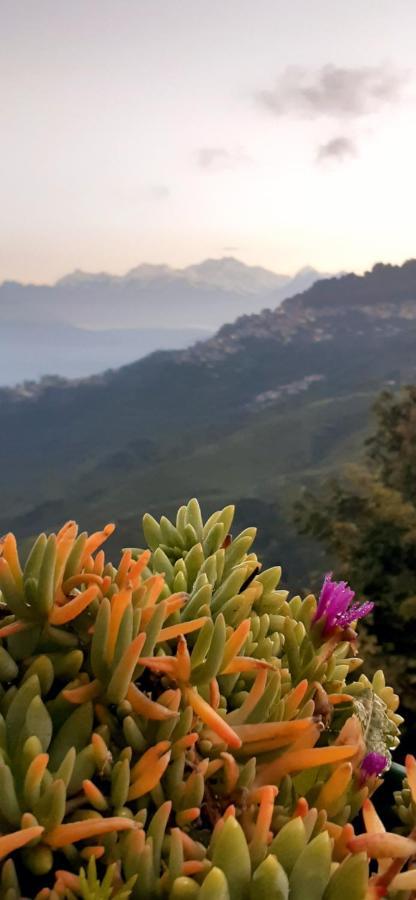 Rajbari Farms Darjeeling (West Bengal) Exterior foto